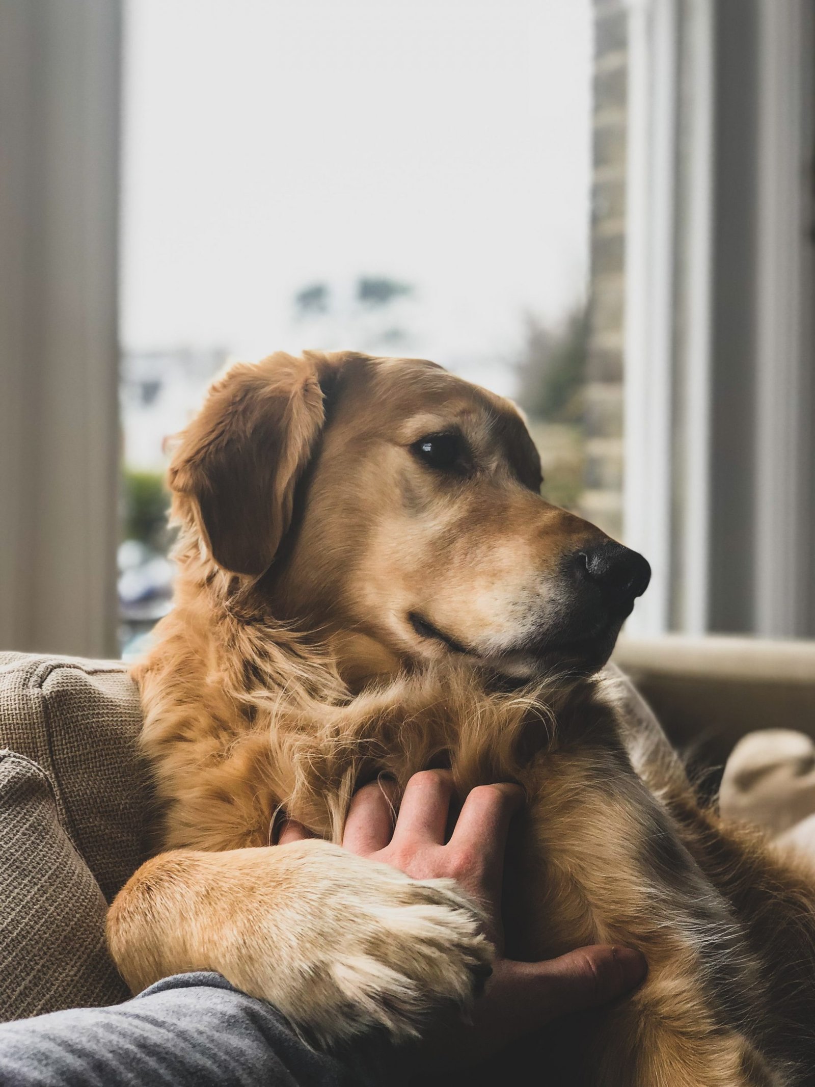 jack-brind-rmvG_oHzCNA-unsplash