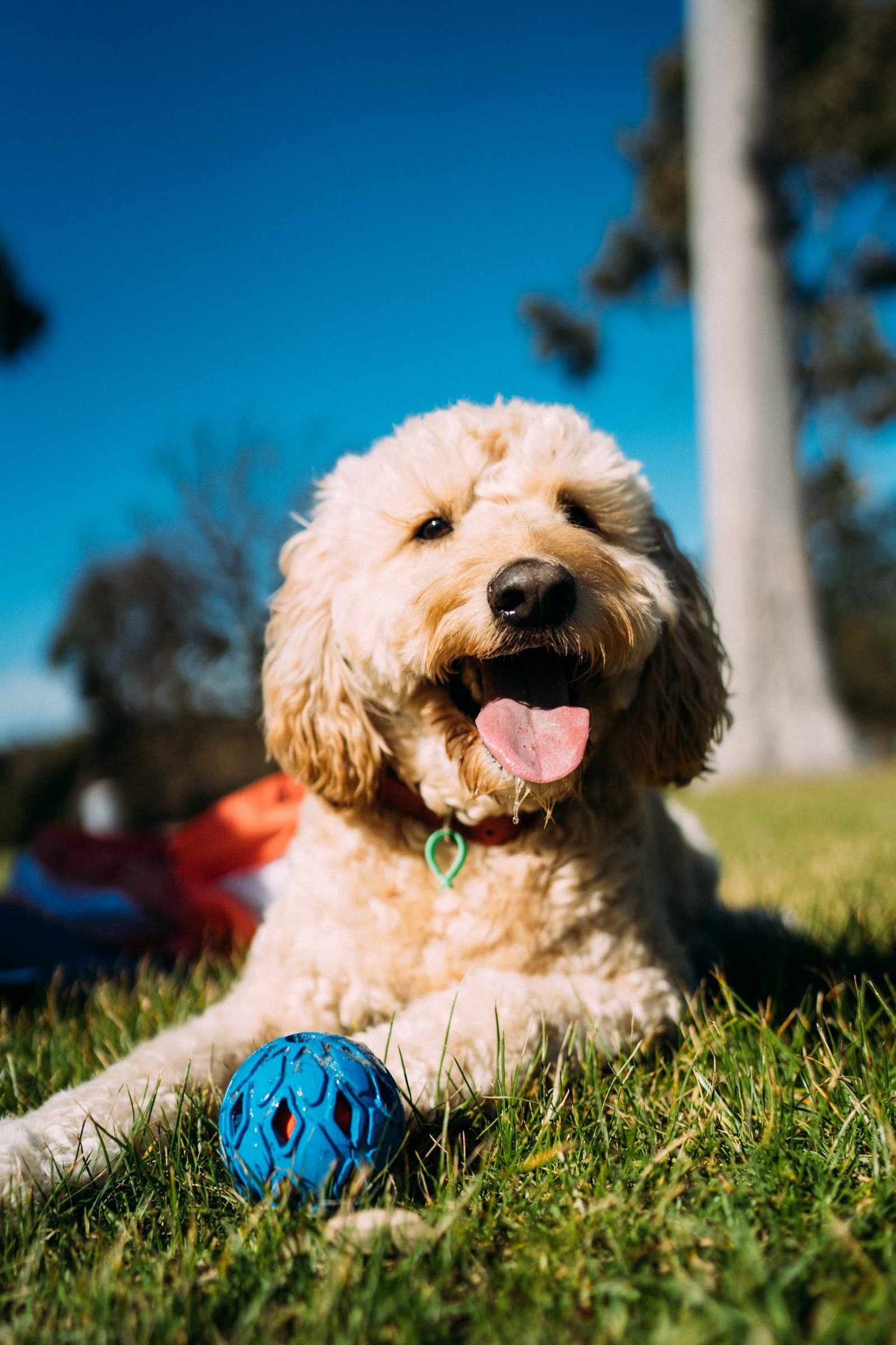 jay-wennington-4qgcONWF5s4-unsplash